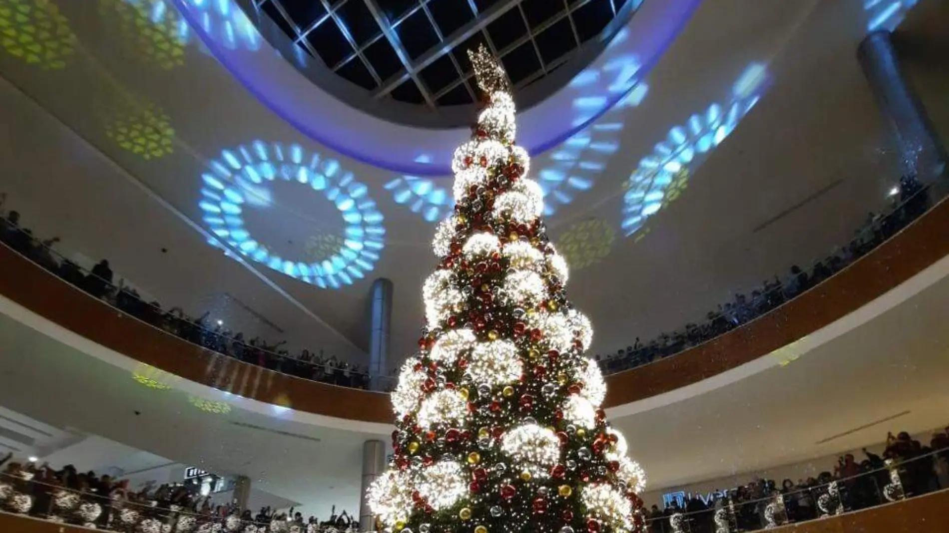 El pasado domingo 13 de diciembre en medio de un espectacular concierto el centro comercial se dio a la tarea de realizar el encendido del monumental pino Vladimir Meza